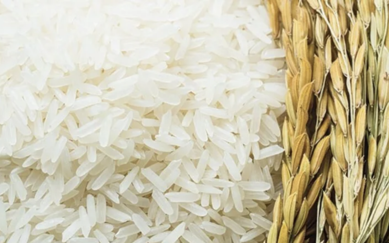 الرز بكام؟.. سعر طن الأرز الشعير اليوم الاربعاء 21 فبراير 2024 للمستهلك في مصر